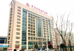 全自动母乳分析仪可信吗湖北武汉百佳妇产医院采购国康母乳检测设备