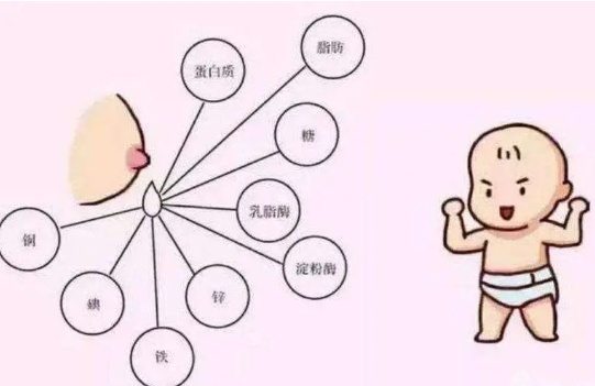你的宝宝饮食健康吗?母乳分析仪品牌 让生命的一步，充满美丽