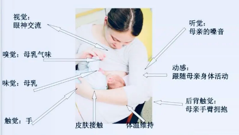 超声母乳分析仪厂家通过仪器检测仪出来的结果对婴儿生长发育的影响