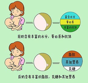 全自动母乳检测仪-孕妇乳汁营养分析儿童哥阶段所需的营养成分在母乳中的含量